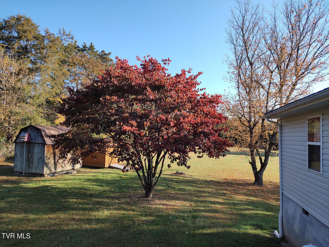 3742 Beech Grove Road, Jonesville, Virginia image 50
