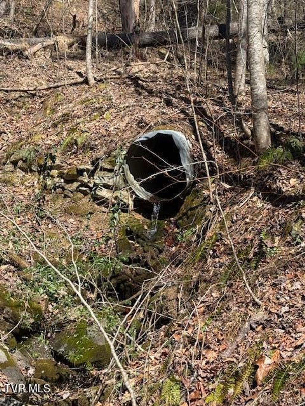 Photo of Tbd Spivey Mountain Road, Erwin, TN 37650 (MLS # 9992110)