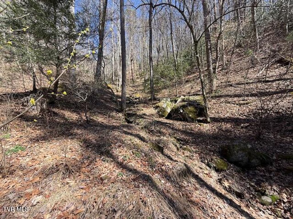 Photo of Tbd Spivey Mountain Road, Erwin, TN 37650 (MLS # 9992110)