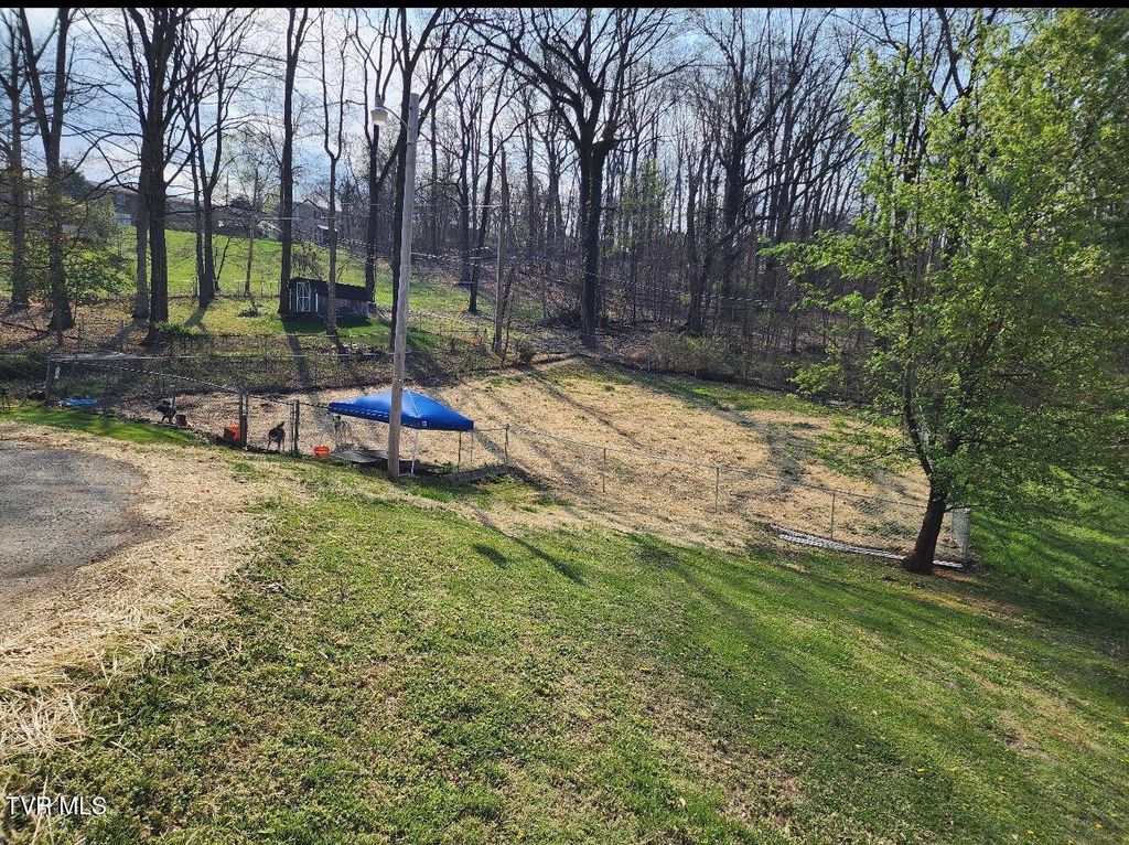 Photo of 322 Walker Street, Kingsport, TN 37665 (MLS # 9989935)