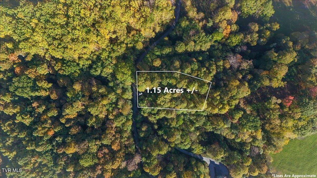 Photo of Tbd Eagle Ridge Road, Roan Mountain, TN 37687 (MLS # 9986986)