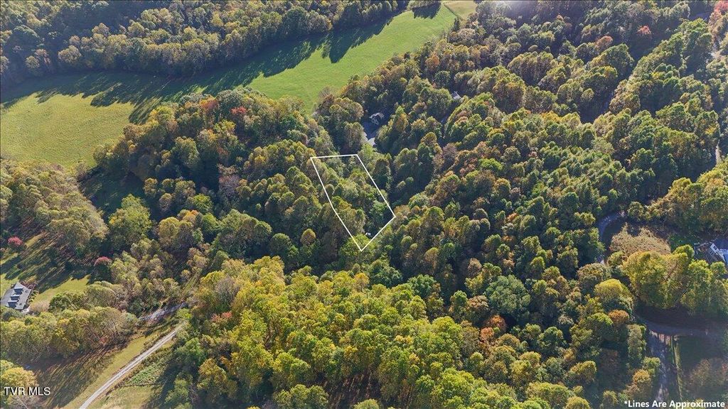 Photo of Tbd Eagle Ridge Road, Roan Mountain, TN 37687 (MLS # 9986986)