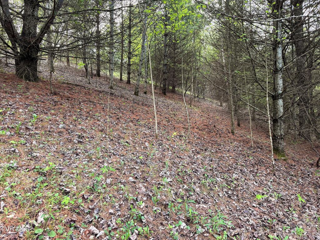 Photo of 11 Cowan Town Road, Butler, TN 37640 (MLS # 9994269)