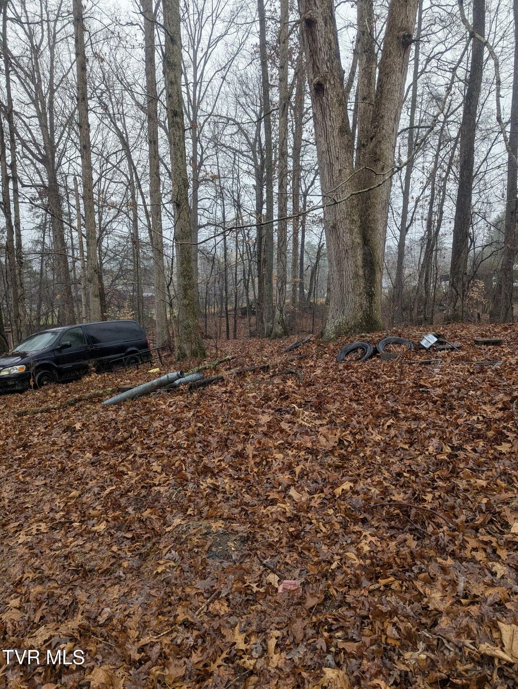 Photo of 000 Off Ross Camp Ground Road, Church Hill, TN 37642 (MLS # 9990305)