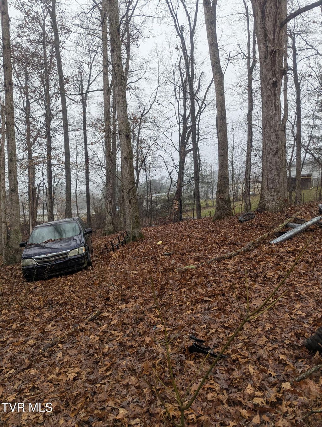 Photo of 000 Off Ross Camp Ground Road, Church Hill, TN 37642 (MLS # 9990305)