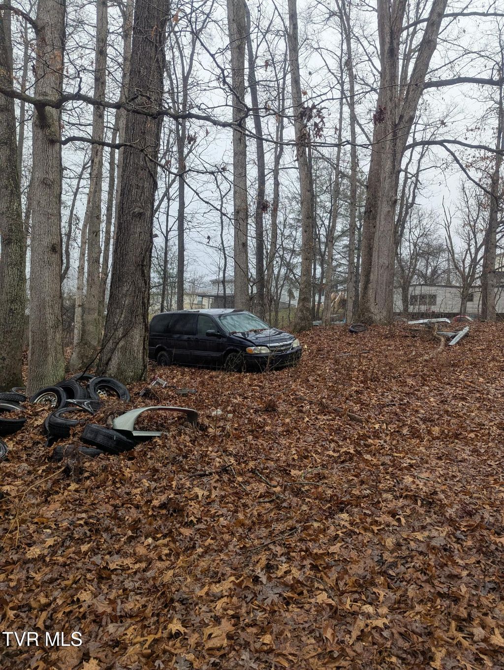 Photo of 000 Off Ross Camp Ground Road, Church Hill, TN 37642 (MLS # 9990305)