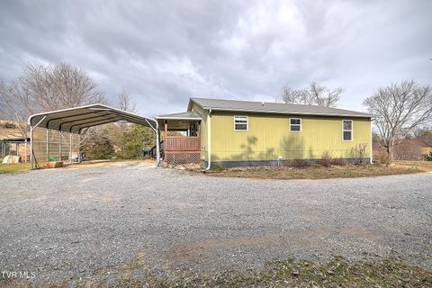 Photo of 1965 Whitehouse Road, Greeneville, TN 37745 (MLS # 9990203)