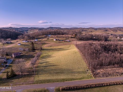 Vacant Land For Sale - TBD Peaceful Valley Road<br/> Abingdon, VA 24210
