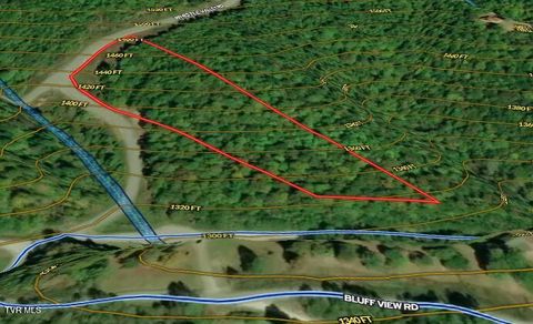 Vacant Land For Sale - LOT 161 Whistle Valley Road<br/> Claiborne County, New Tazewell, TN 37825