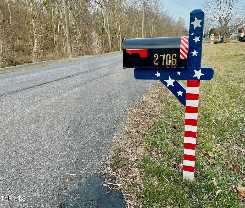 Photo of 2706 Shelby Street, Bristol, TN 37620 (MLS # 9990982)