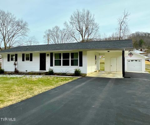 Photo of 2706 Shelby Street, Bristol, TN 37620 (MLS # 9990982)