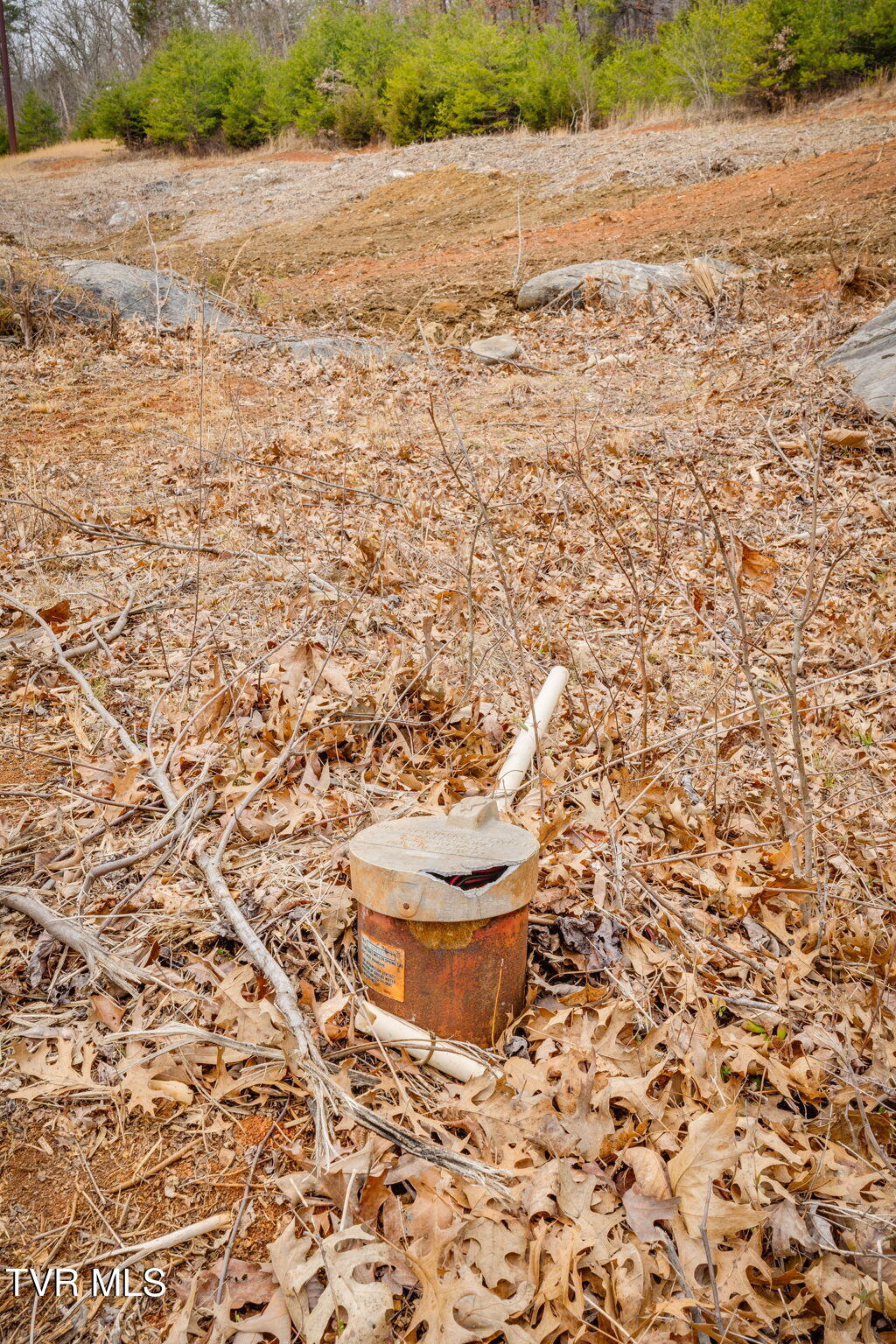 215 Buckingham Road, Johnson City, Tennessee image 11