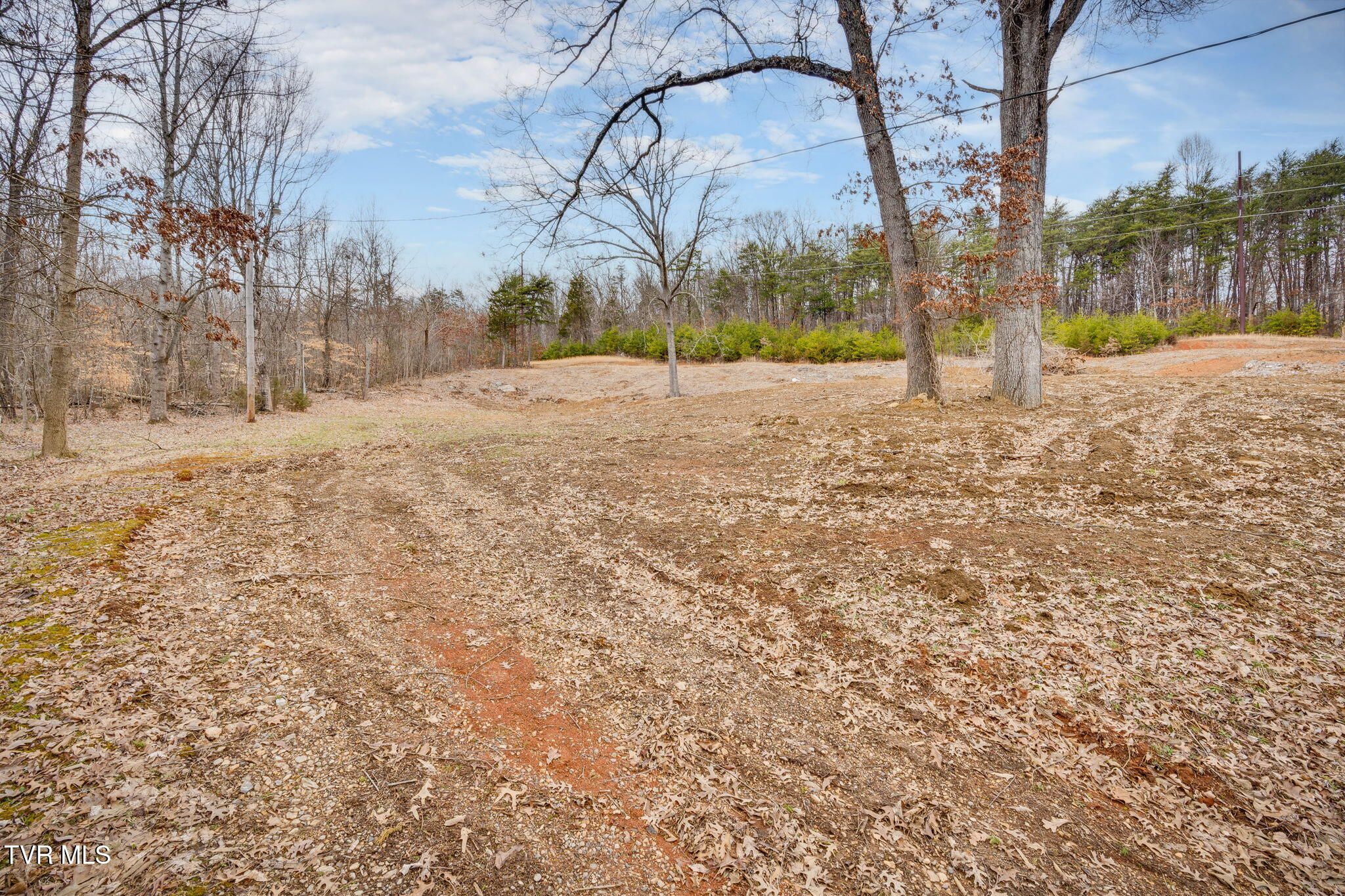 215 Buckingham Road, Johnson City, Tennessee image 3