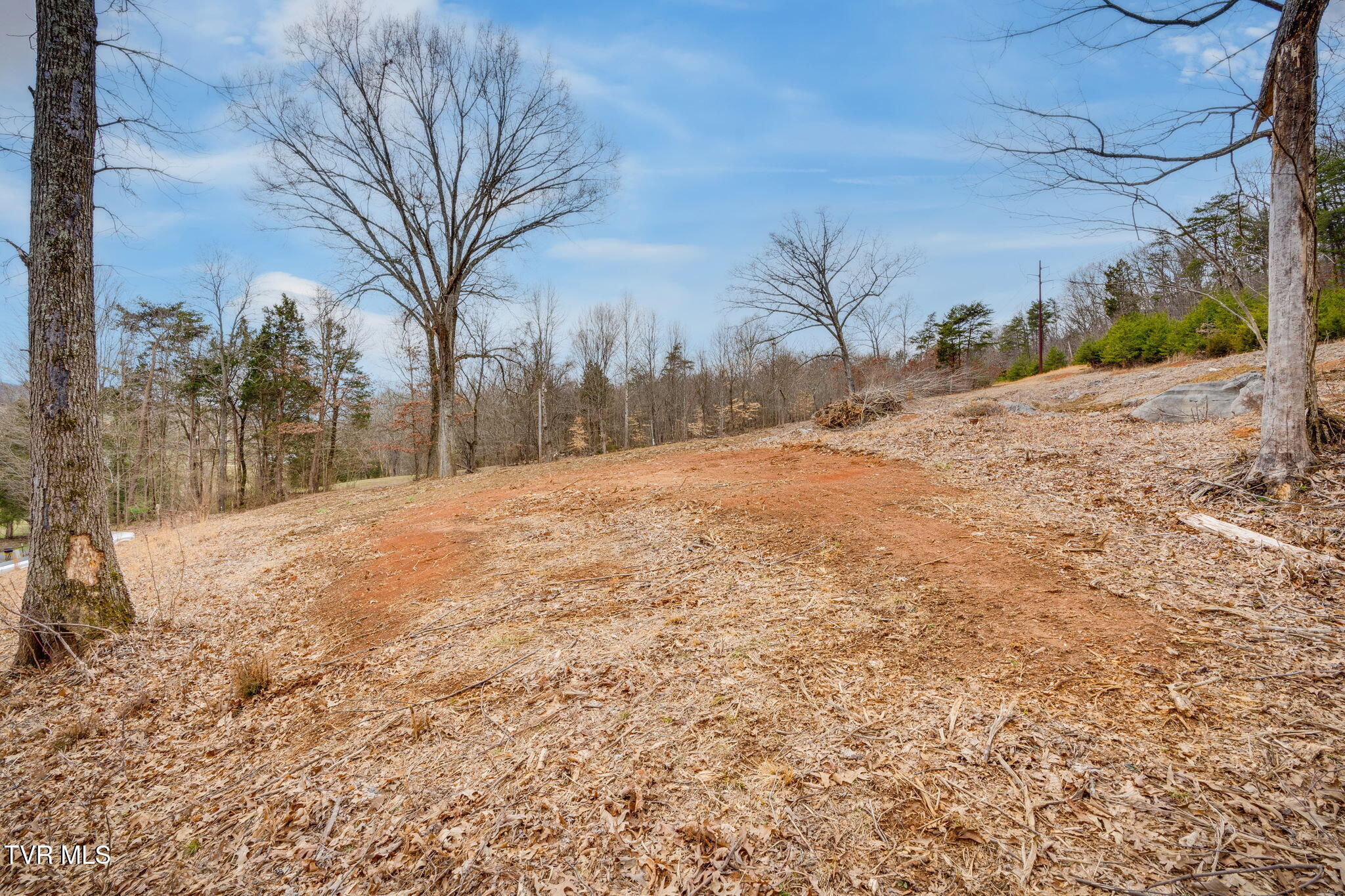 215 Buckingham Road, Johnson City, Tennessee image 9