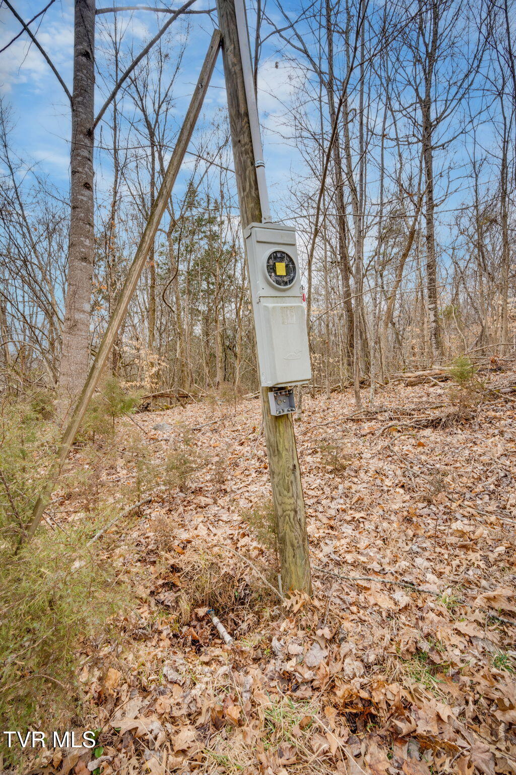 215 Buckingham Road, Johnson City, Tennessee image 5