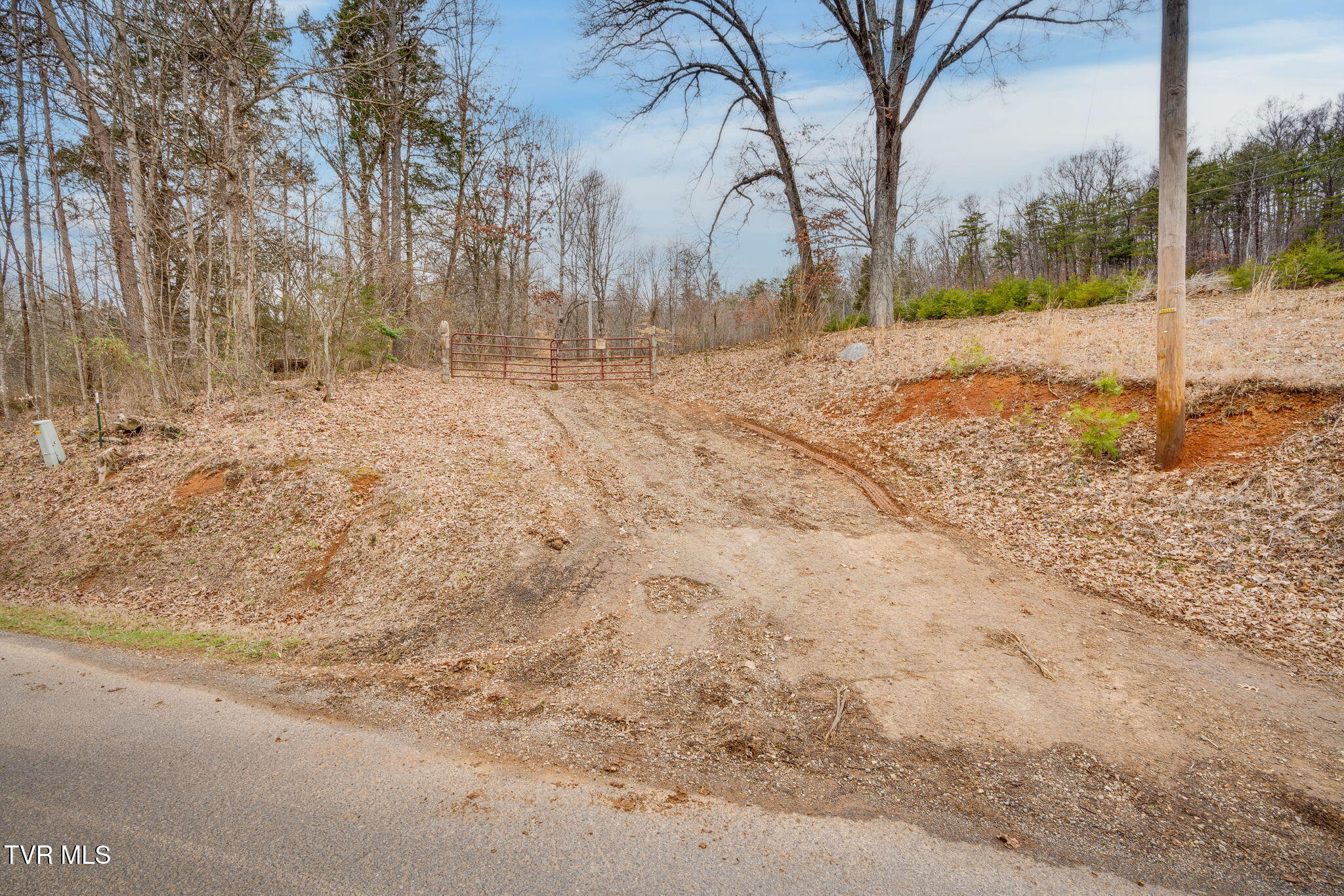 215 Buckingham Road, Johnson City, Tennessee image 1