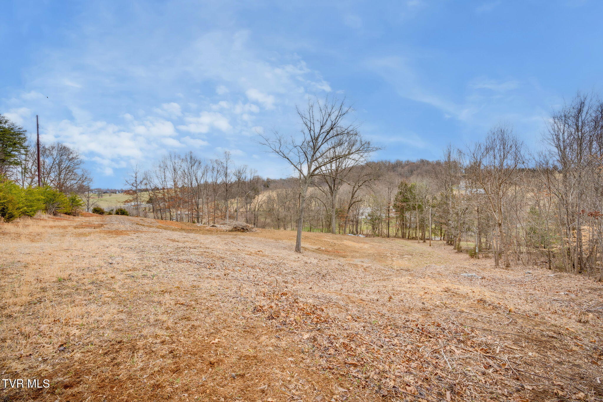 215 Buckingham Road, Johnson City, Tennessee image 6