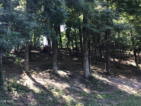 Vacant Land For Sale - L23R Maple Crest<br/> Greeneville, TN 37743