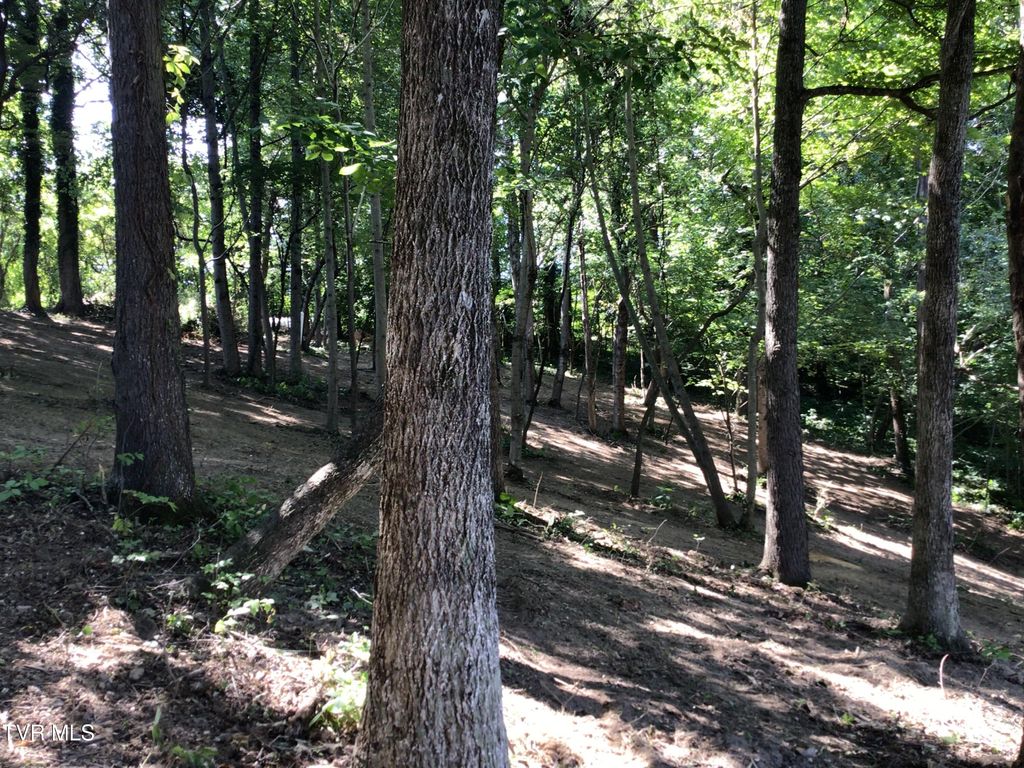 Photo of 23 Maple Crest, Greeneville, TN 37743 (MLS # 9965701)