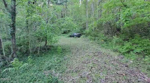Vacant Land For Sale - 217 Coal Chute Road<br/> Carter County, Elizabethton, TN 37643