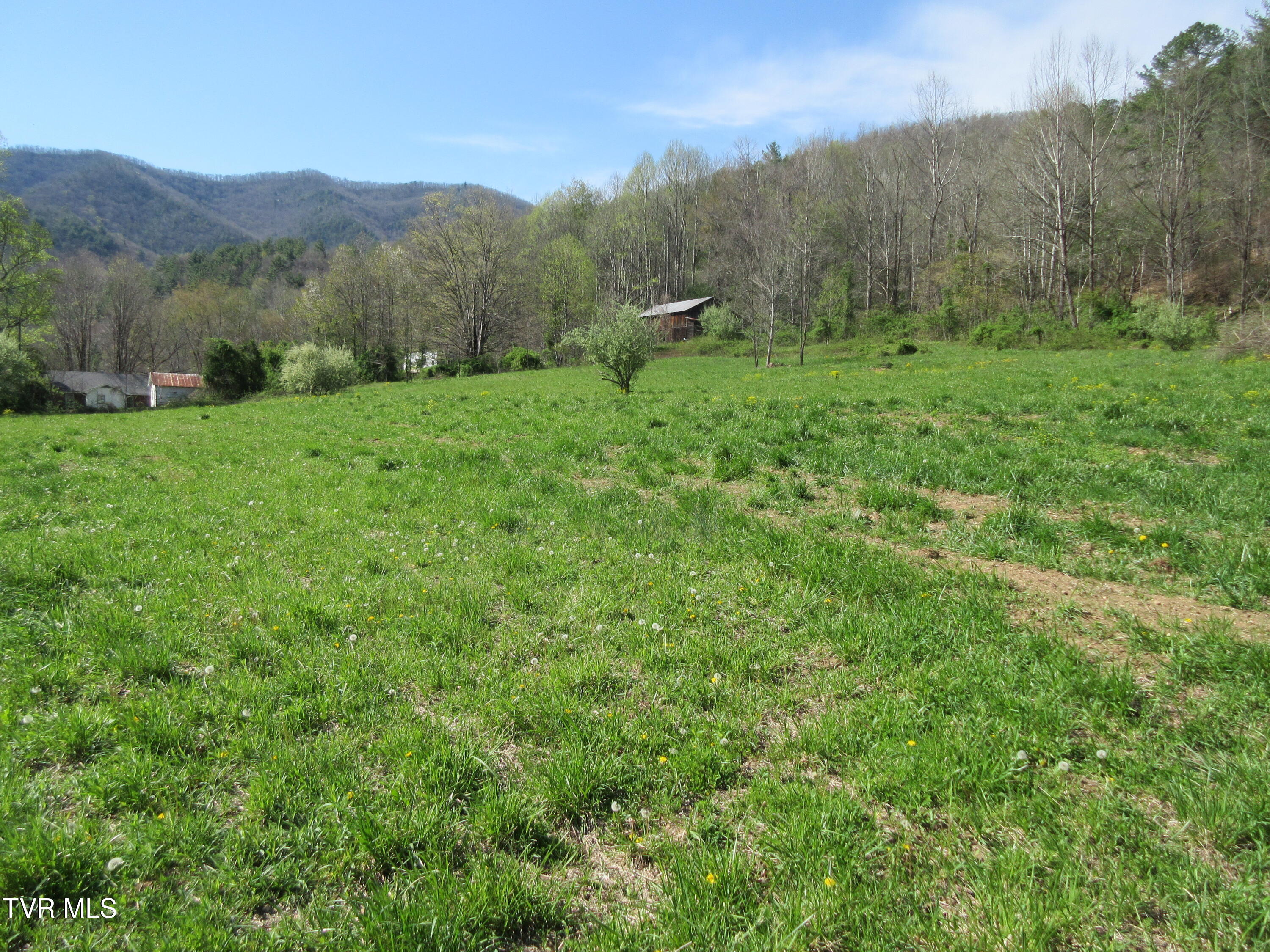 9222 Roan Creek Road Road, Butler, Tennessee image 8