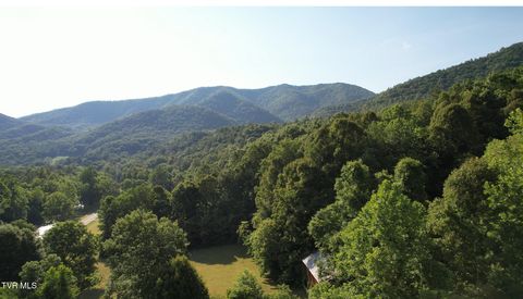 Vacant Land For Sale - 9222 Roan Creek Road Road<br/> Johnson County, Butler, TN 37640