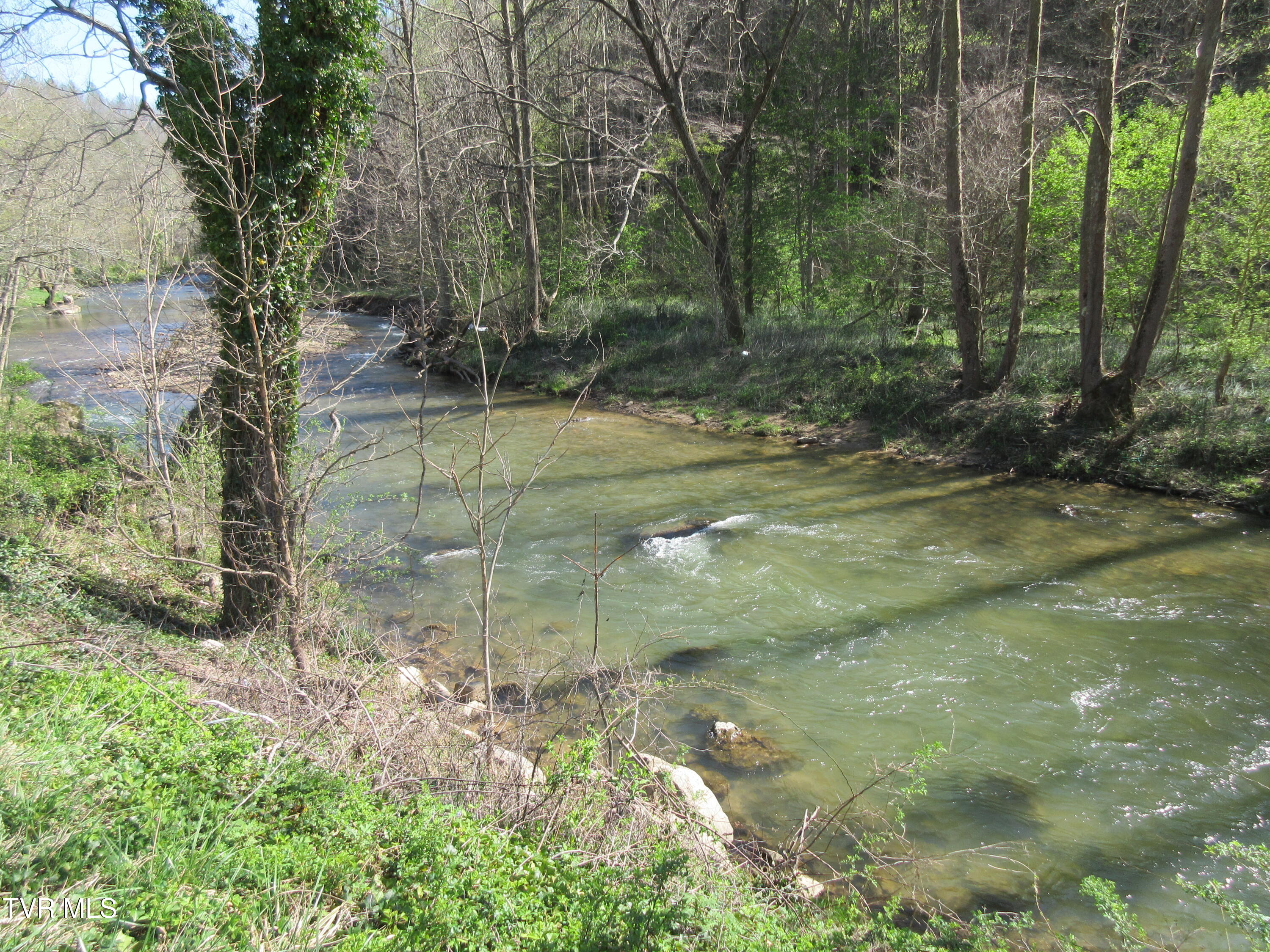 9222 Roan Creek Road Road, Butler, Tennessee image 15