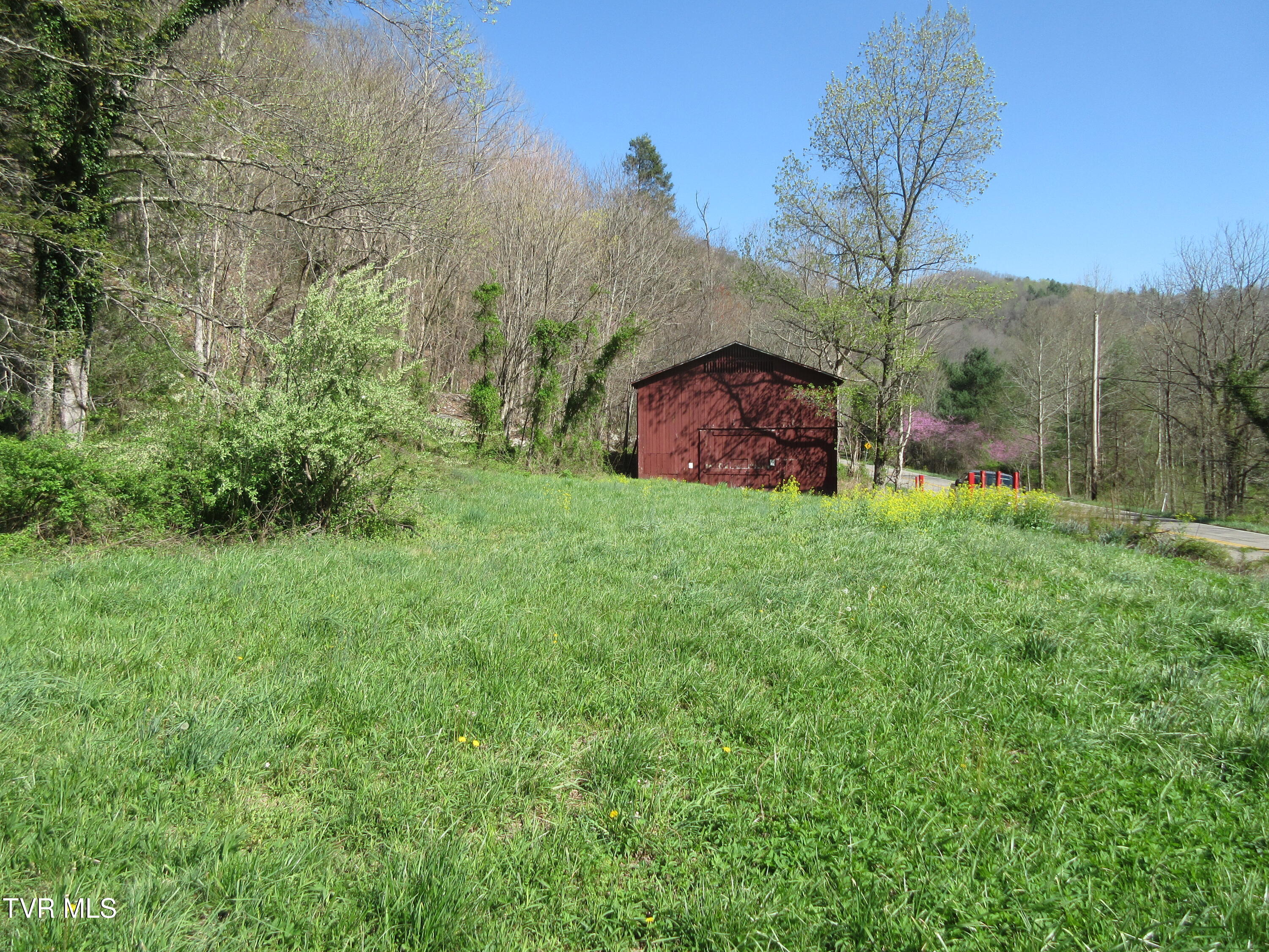9222 Roan Creek Road Road, Butler, Tennessee image 6