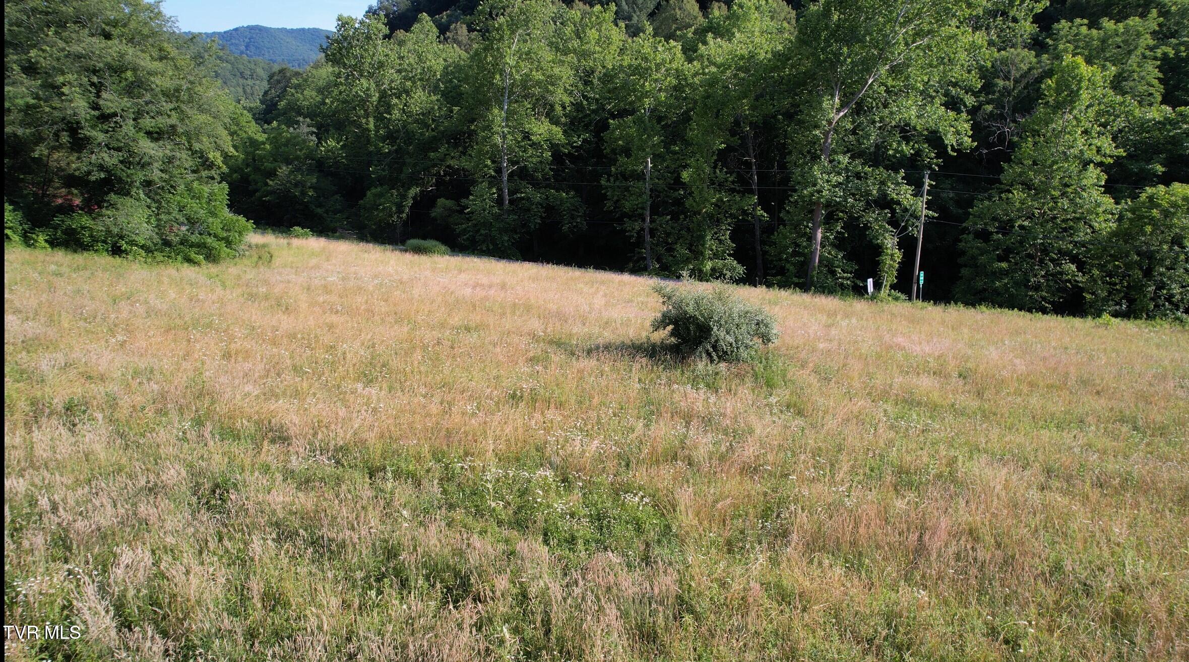 9222 Roan Creek Road Road, Butler, Tennessee image 23