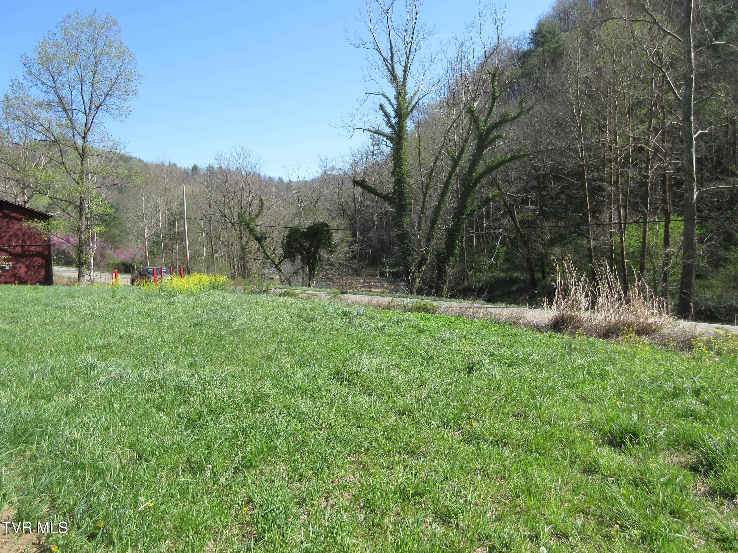 9222 Roan Creek Road Road, Butler, Tennessee image 4