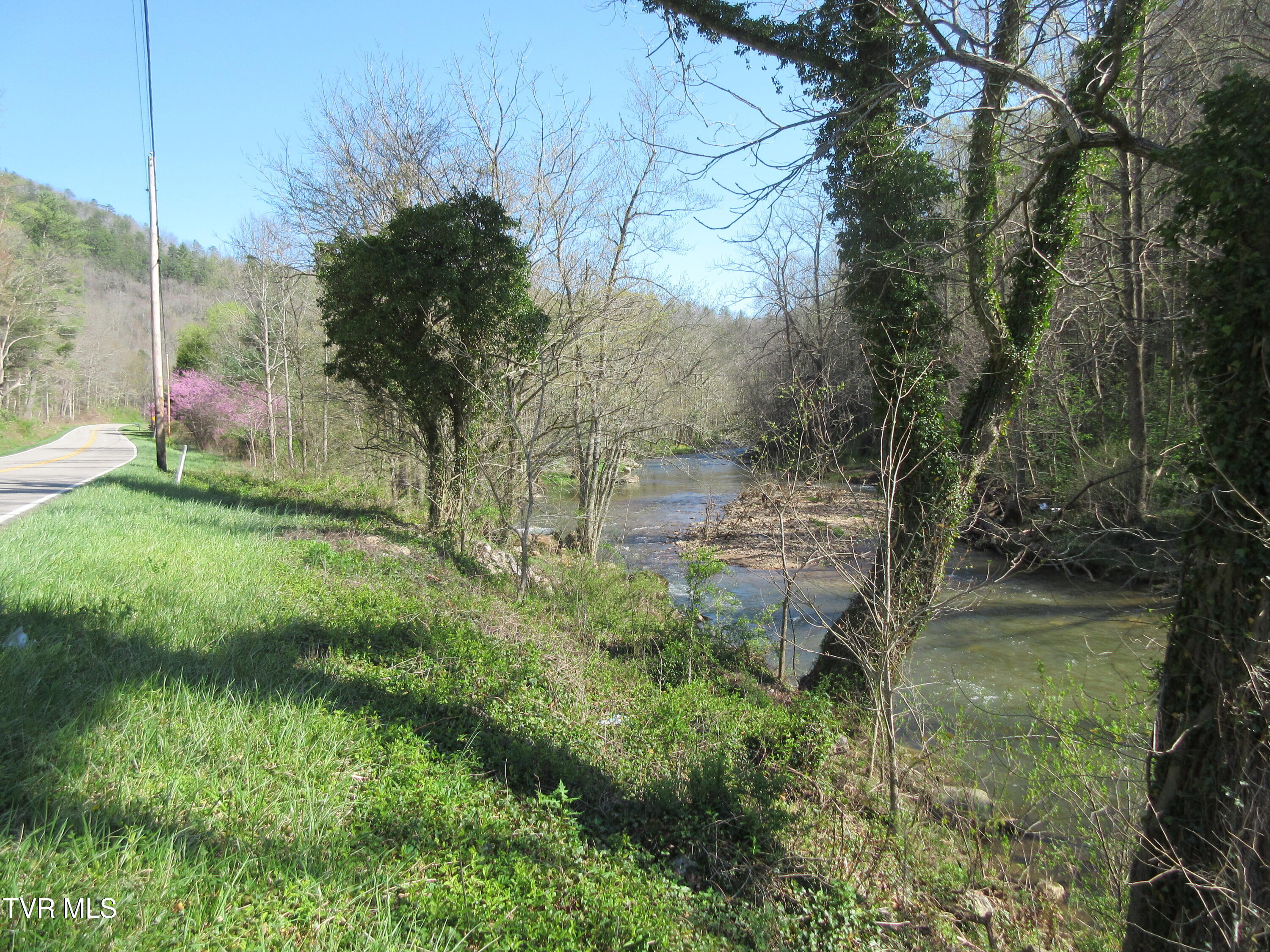 9222 Roan Creek Road Road, Butler, Tennessee image 17