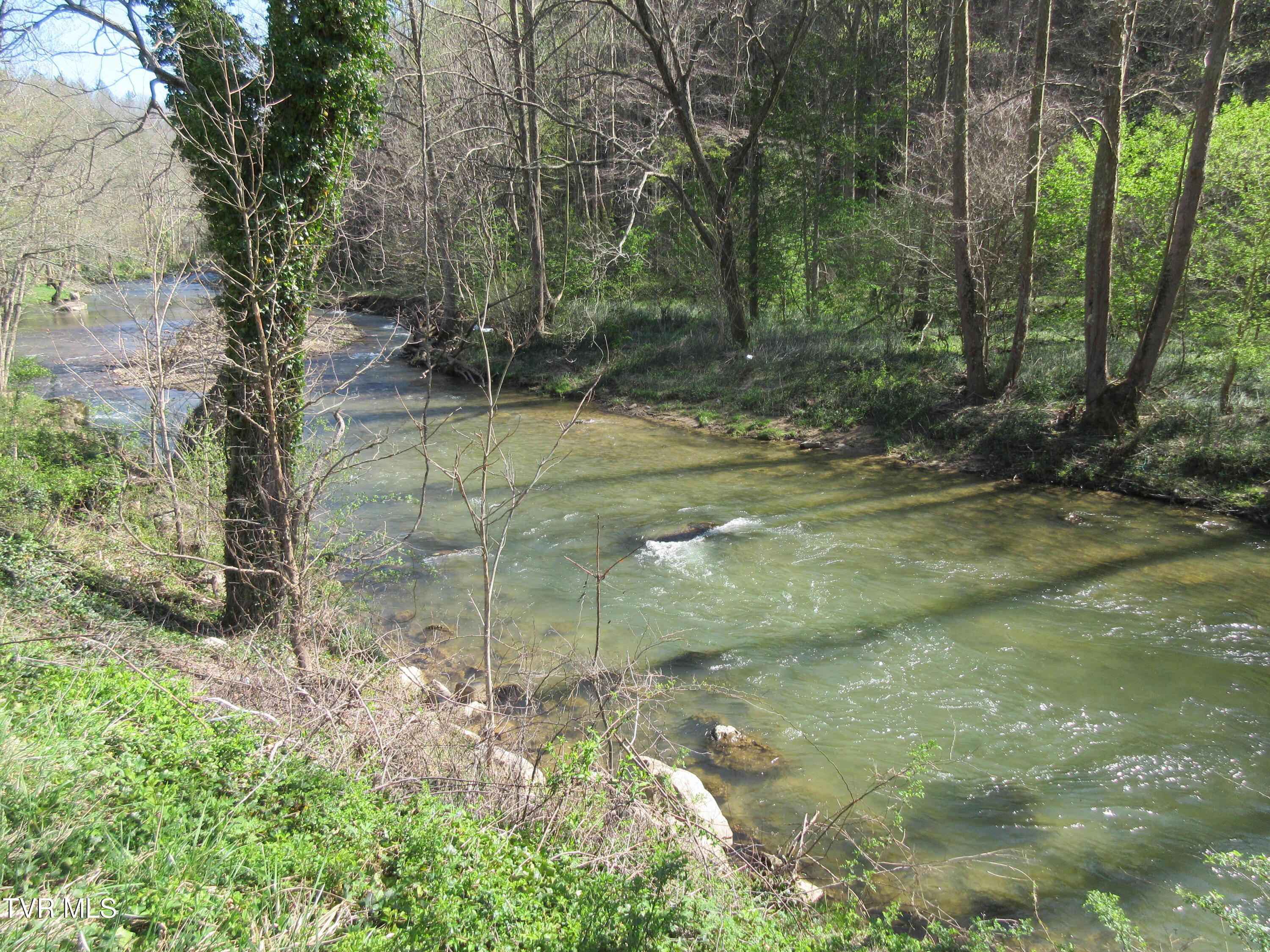 9222 Roan Creek Road Road, Butler, Tennessee image 16