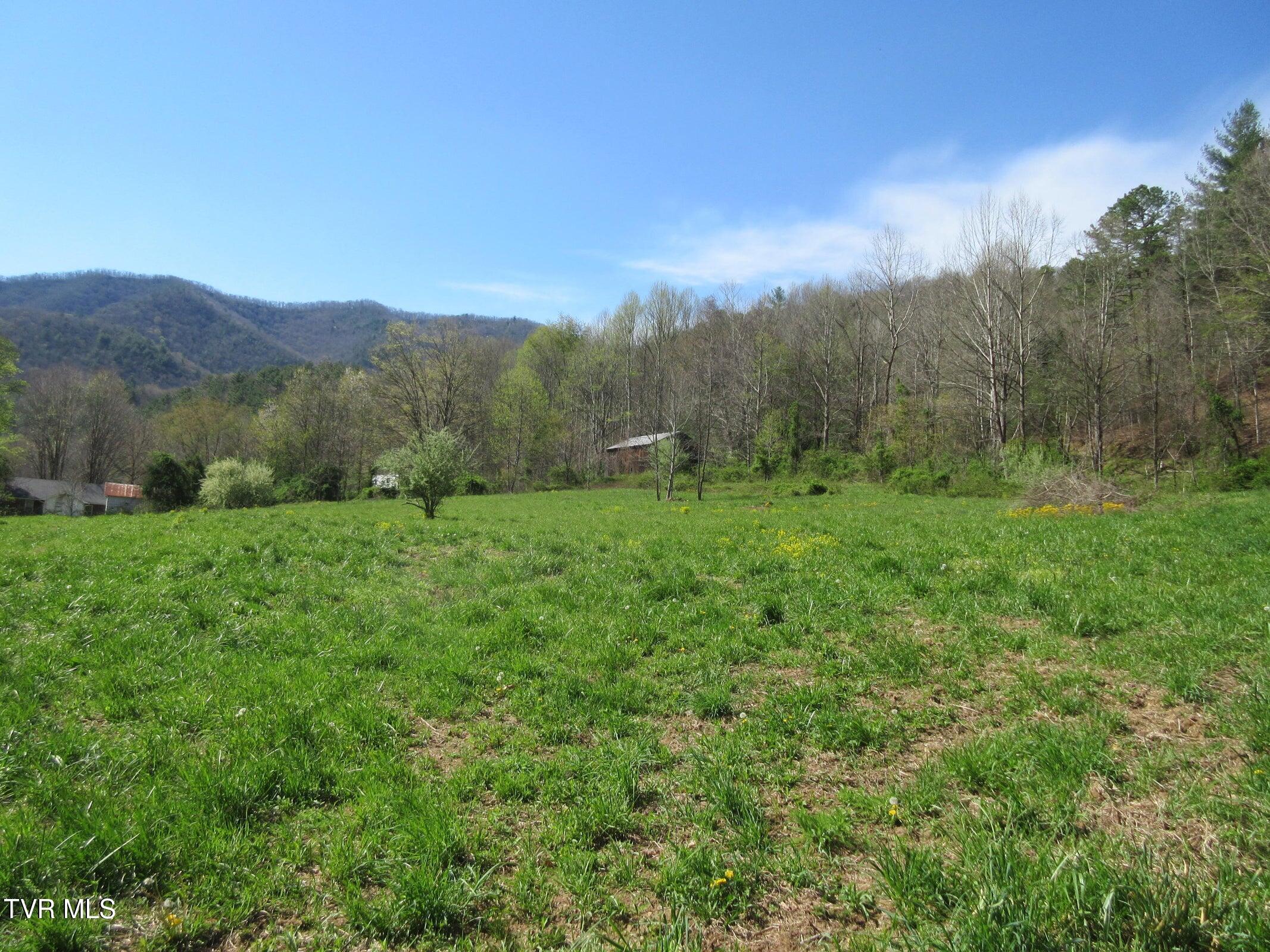9222 Roan Creek Road Road, Butler, Tennessee image 2
