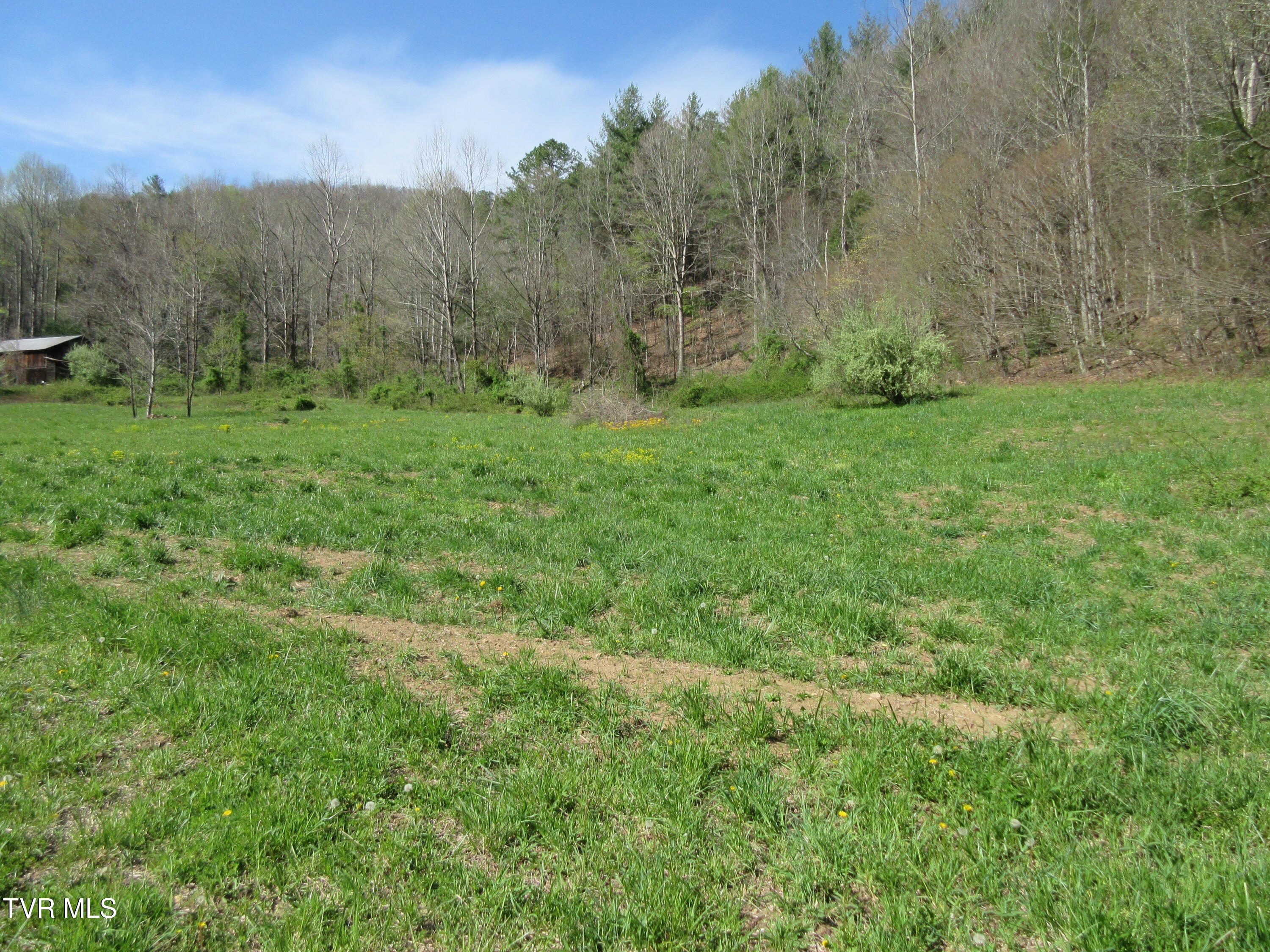 9222 Roan Creek Road Road, Butler, Tennessee image 7