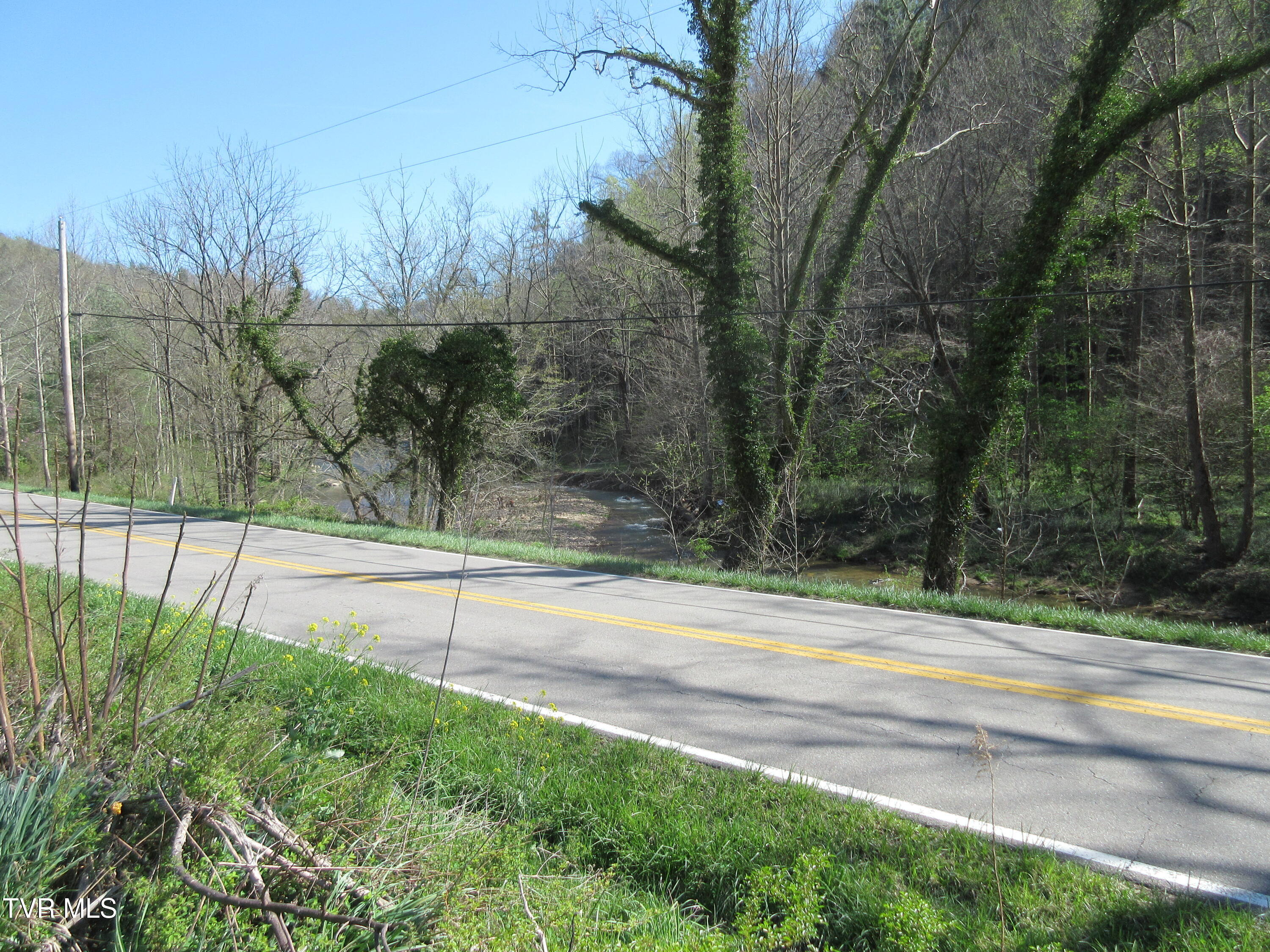 9222 Roan Creek Road Road, Butler, Tennessee image 11