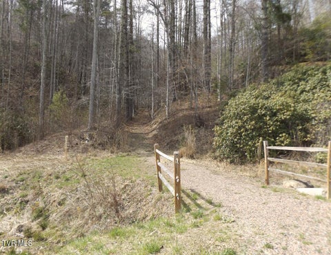 Vacant Land For Sale - 304 Honeymoon Lot 69 Hollow<br/> Butler, TN 37640