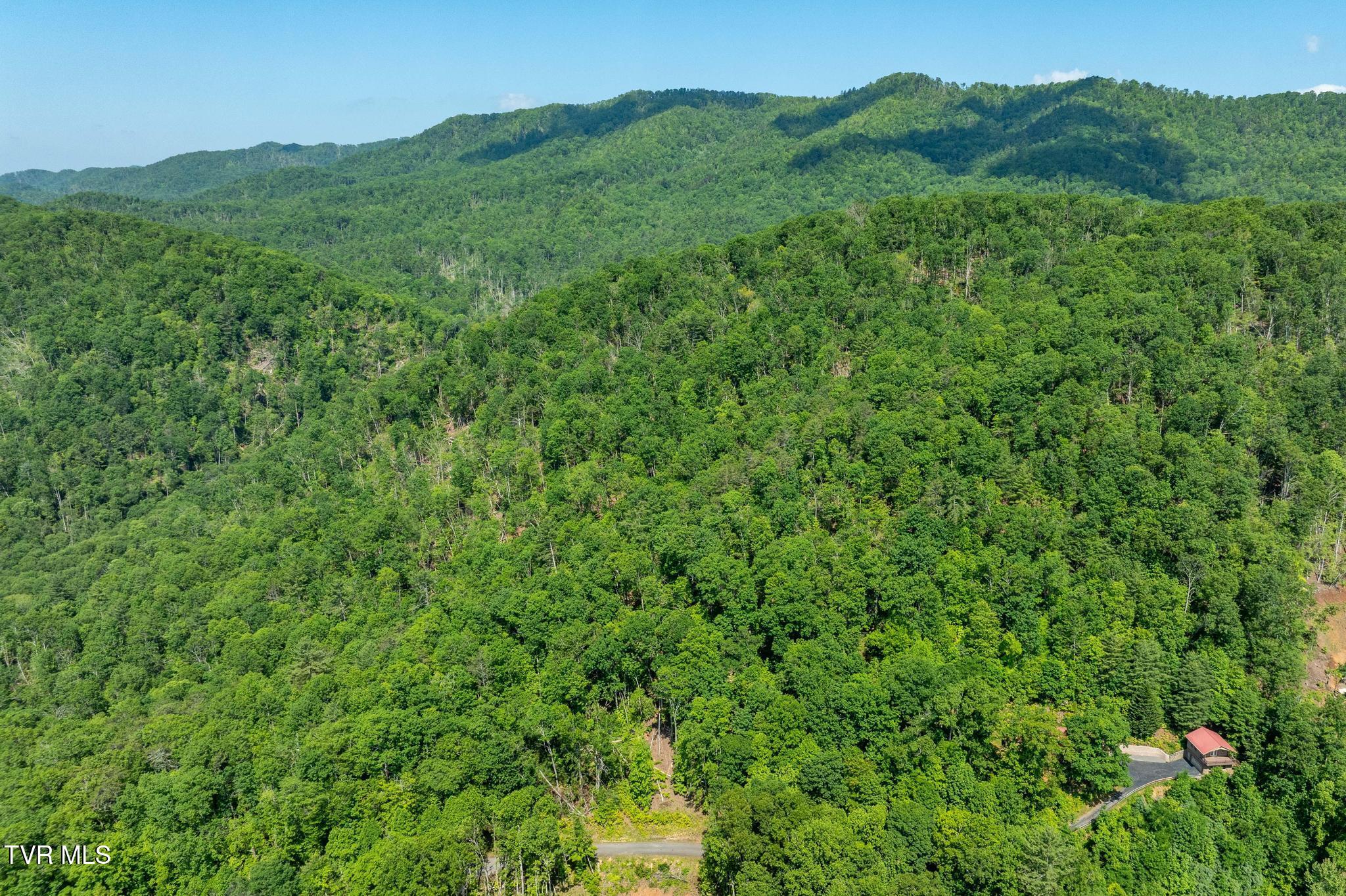 Tbd Longview Private Drive, Mountain City, Tennessee image 4