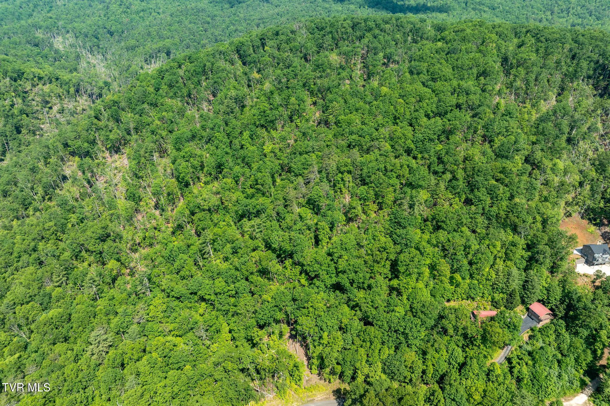 Tbd Longview Private Drive, Mountain City, Tennessee image 7