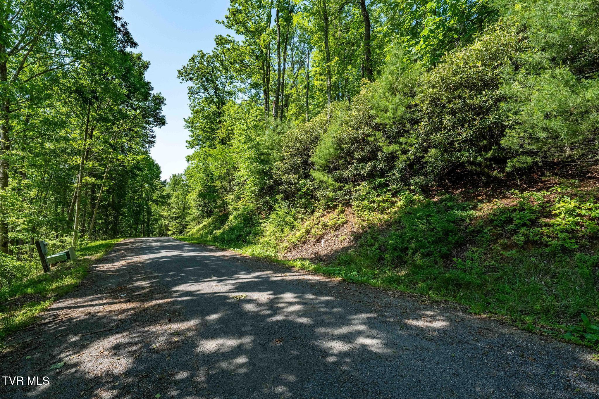 Tbd Longview Private Drive, Mountain City, Tennessee image 16