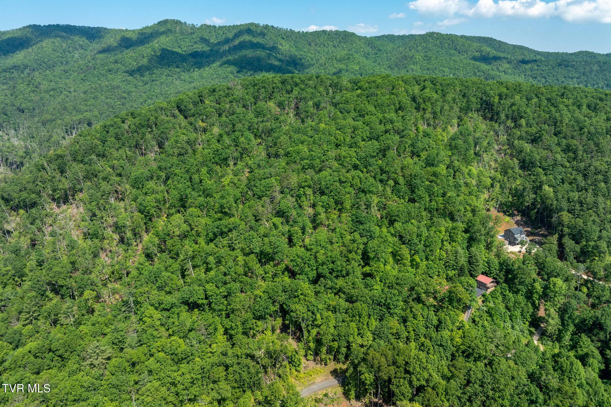 Tbd Longview Private Drive, Mountain City, Tennessee image 5