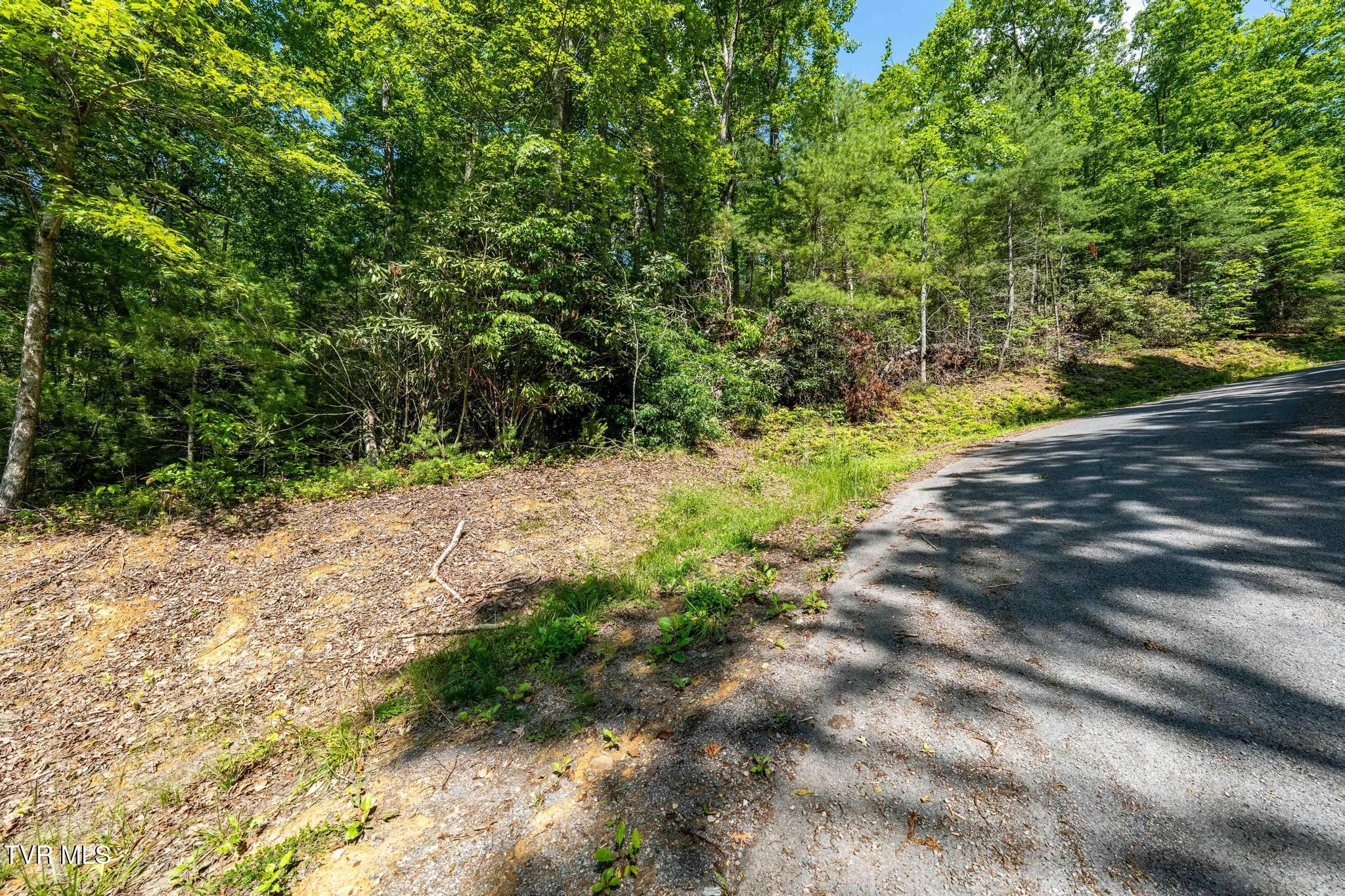 Tbd Longview Private Drive, Mountain City, Tennessee image 12