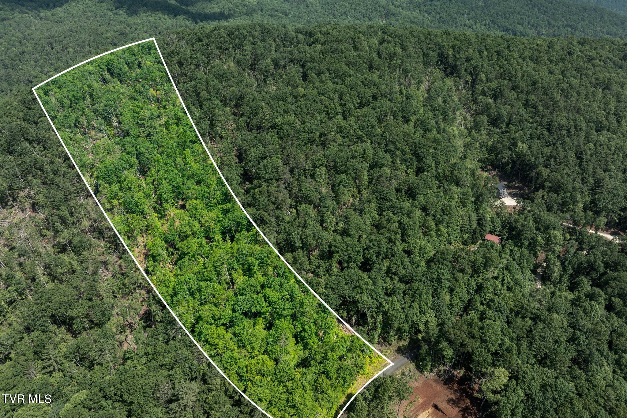 Tbd Longview Private Drive, Mountain City, Tennessee image 3