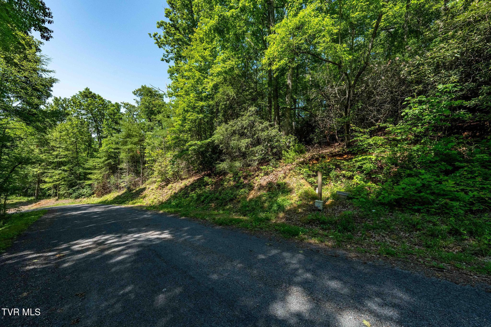 Tbd Longview Private Drive, Mountain City, Tennessee image 14