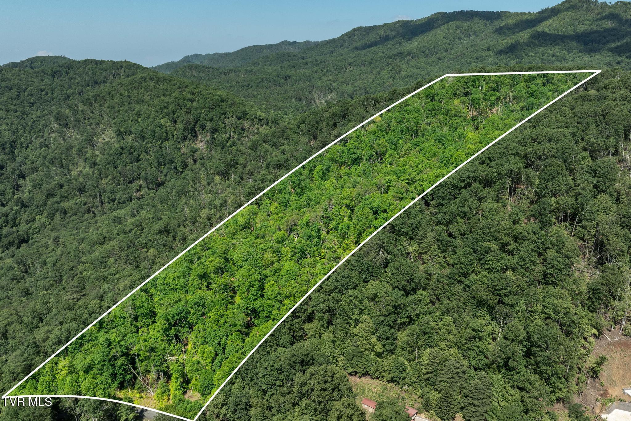 Tbd Longview Private Drive, Mountain City, Tennessee image 2