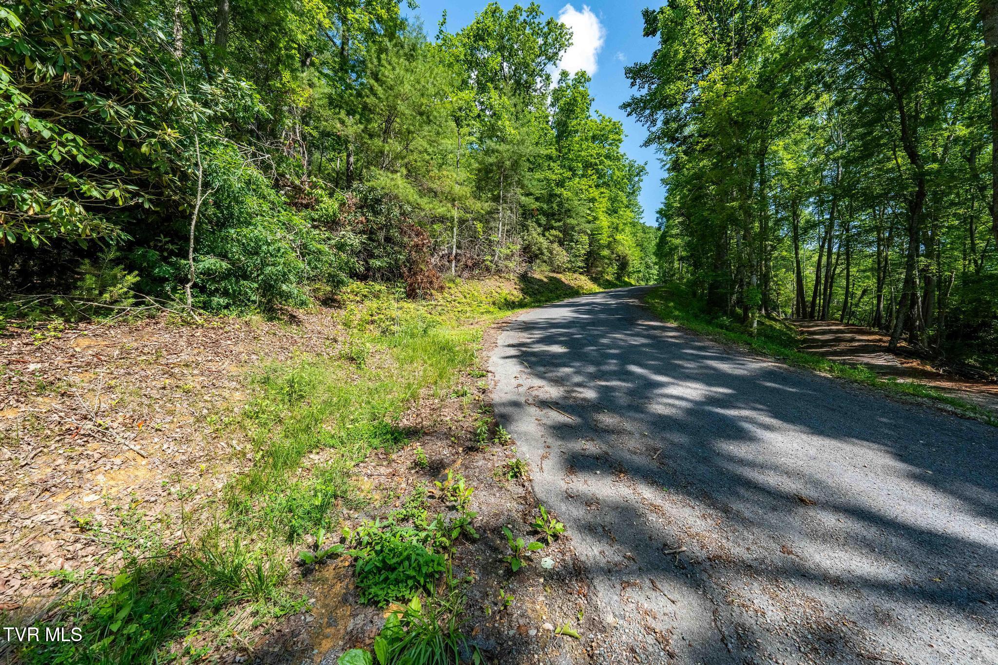 Tbd Longview Private Drive, Mountain City, Tennessee image 13