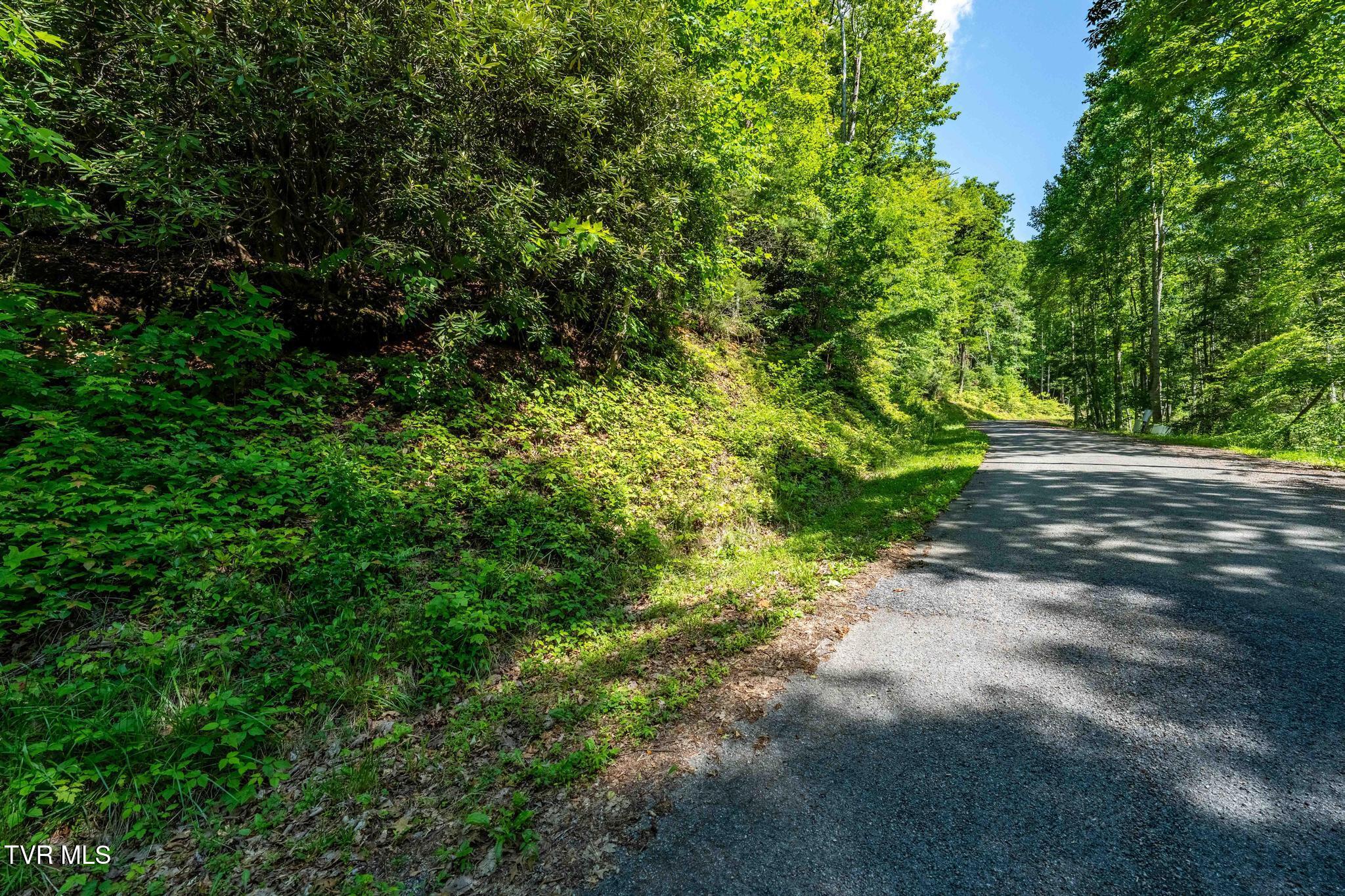 Tbd Longview Private Drive, Mountain City, Tennessee image 15