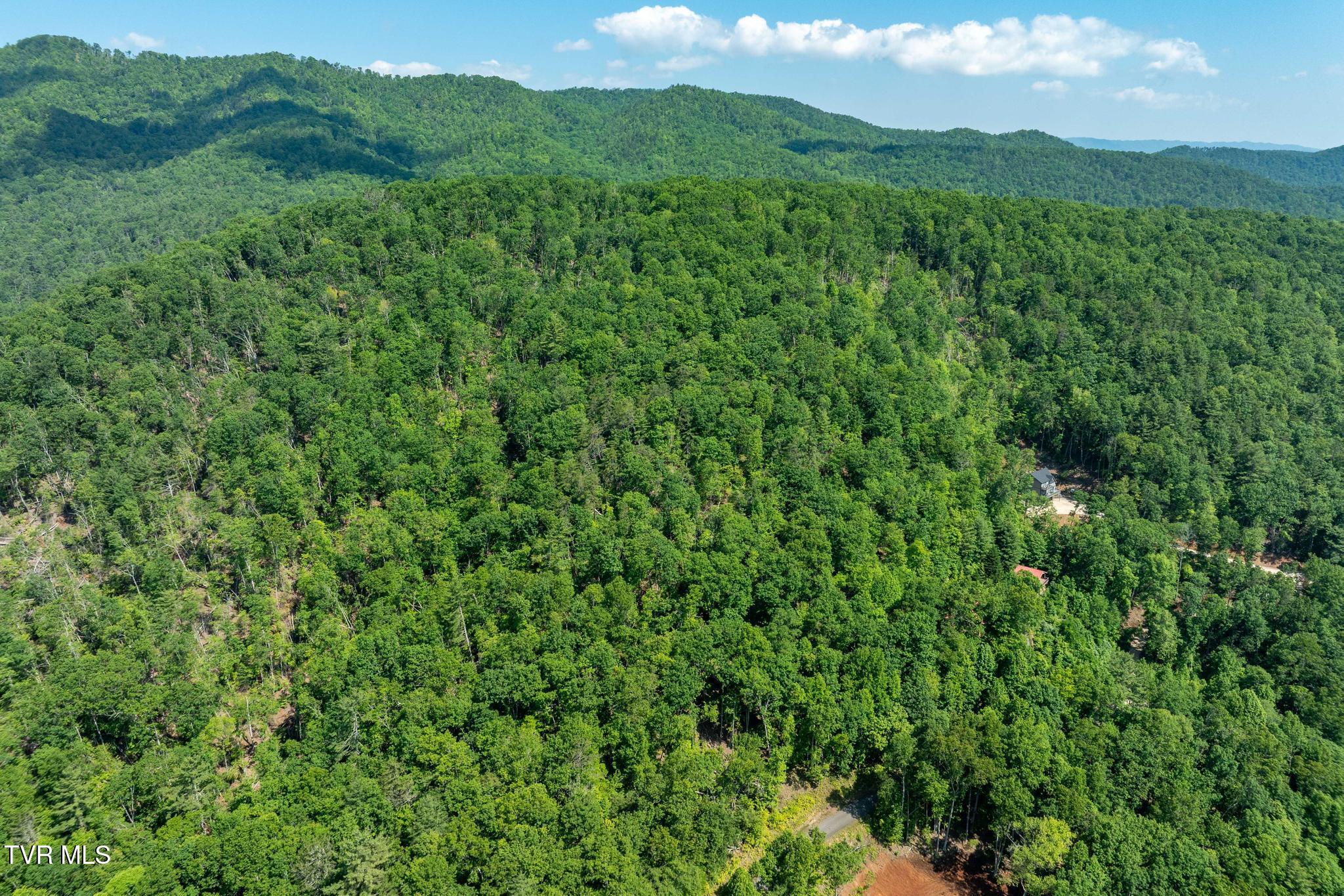 Tbd Longview Private Drive, Mountain City, Tennessee image 6