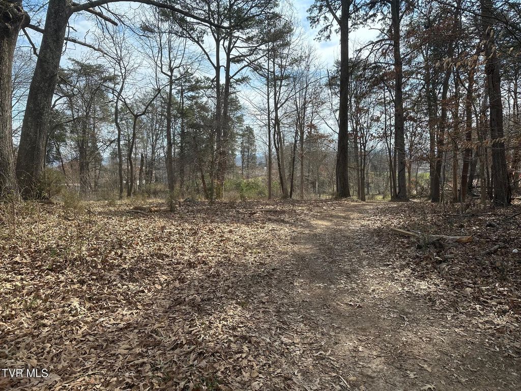 Photo of Tbd Honeysuckle Avenue, Surgoinsville, TN 37873 (MLS # 9992168)