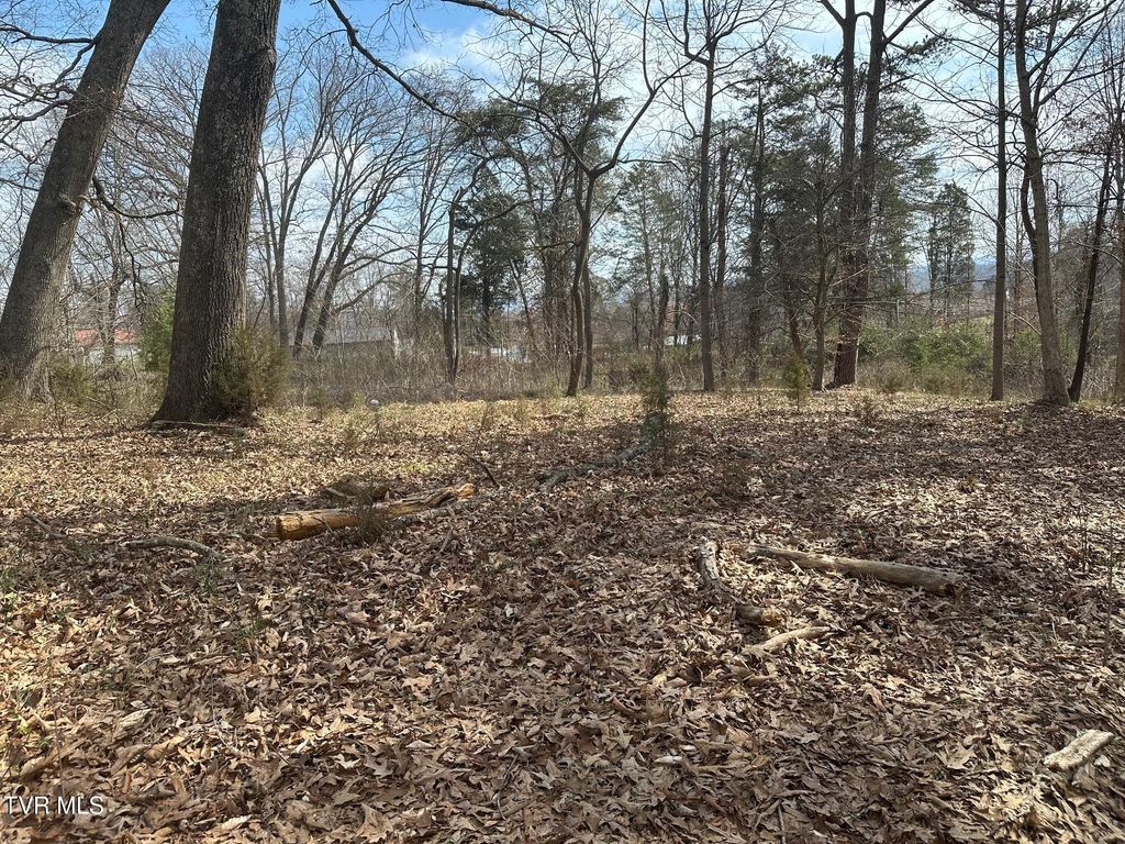 Photo of Tbd Honeysuckle Avenue, Surgoinsville, TN 37873 (MLS # 9992168)