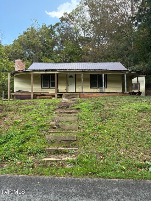 Tiny photo for 1340 Ryan Road, Fall Branch, TN 37656 (MLS # 9982172)